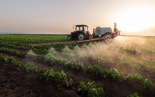 Best Pest Removal Services  in Joplin, MO