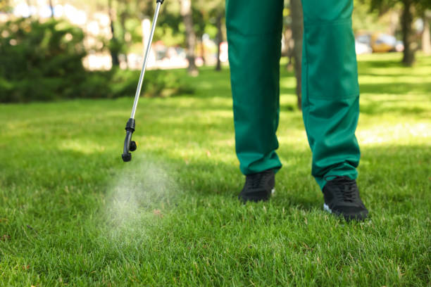 Trusted Joplin, MO Pest Control Experts