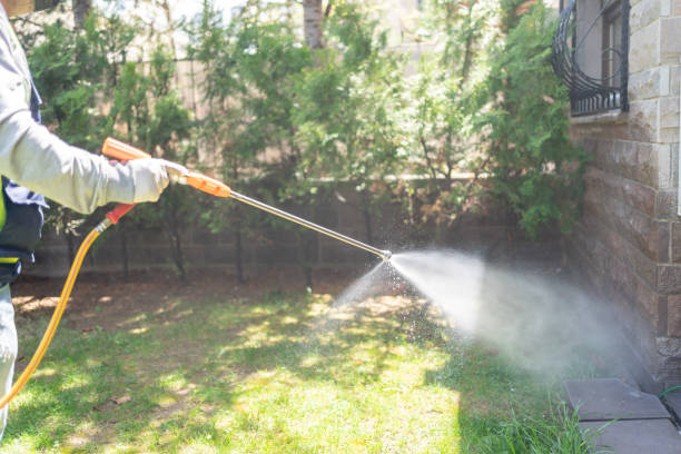 Best Best Pest Control Companies  in Joplin, MO
