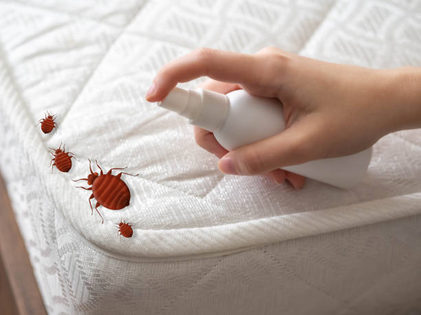 Best Pest Control Near Me  in Joplin, MO